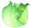 Cabbage lettuce