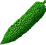 Bitter cucumber